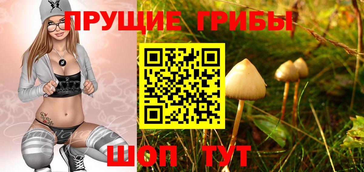 Псилоцибиновые грибы Psilocybine cubensis  Вход с VPN  Псилоцибиновые грибы мухоморы  Миллерово 