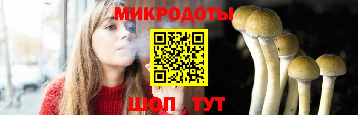 Галлюциногенные грибы Cubensis Миллерово